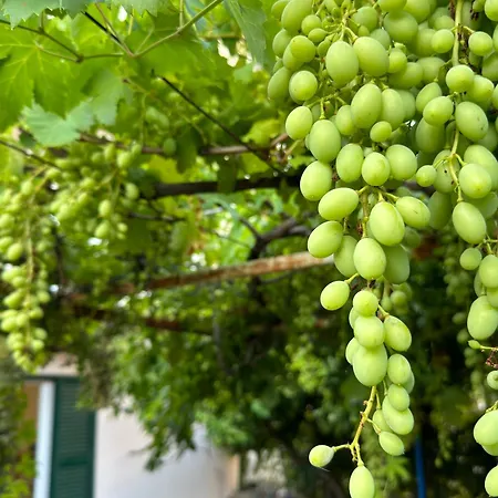 Διαμέρισμα Valentinas Garden Σπλιτ