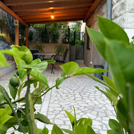 Valentinas Garden *