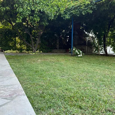Valentinas Garden Split