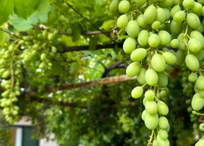 Apartamento Valentinas Garden Split