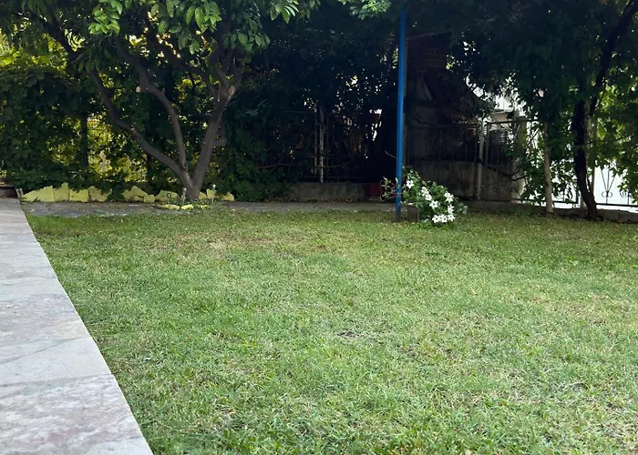 Valentinas Garden Split