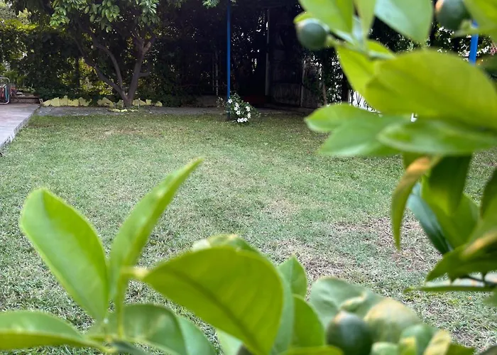 Apartamento Valentinas Garden